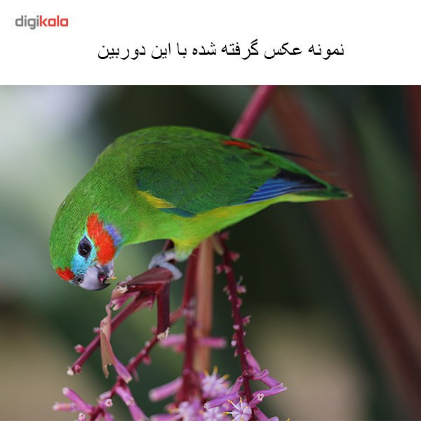 دوربین دیجیتال کانن مدل EOS 70D + 18-55 IS STM