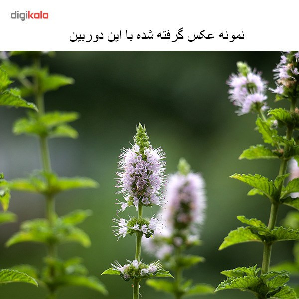 دوربین دیجیتال کانن مدل EOS 70D + 18-55 IS STM